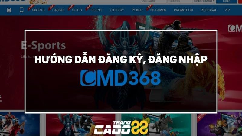 hướng dẫn đăng ký đăng nhập tài khoản cmd368